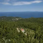 Dream House Capturing The Magic Of Nature