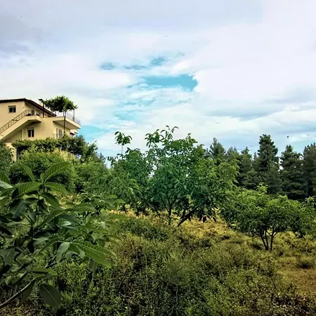 Dream House Capturing The Magic Of Nature Vlachia