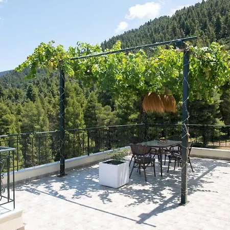 Dream House Capturing The Magic Of Nature Vlachia