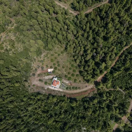 Vakantiehuis Dream House Capturing The Magic Of Nature