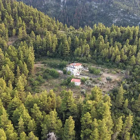 Dream House Capturing The Magic Of Nature *